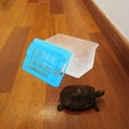 thumbnail image 4 of CHICHUMID Turtle Terrarium 1Pcs Compact Design Plastic for Turtle Home Use, 4 of 7
