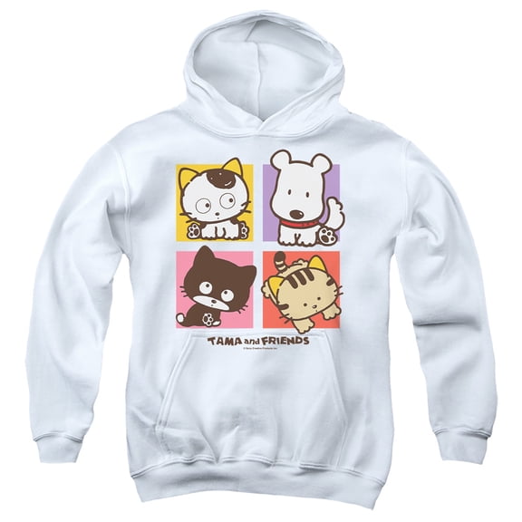 Tama and Friends Cat and Dog Four Box Youth Kids Boy/Girls Pull-Over Hoodie, White, Large