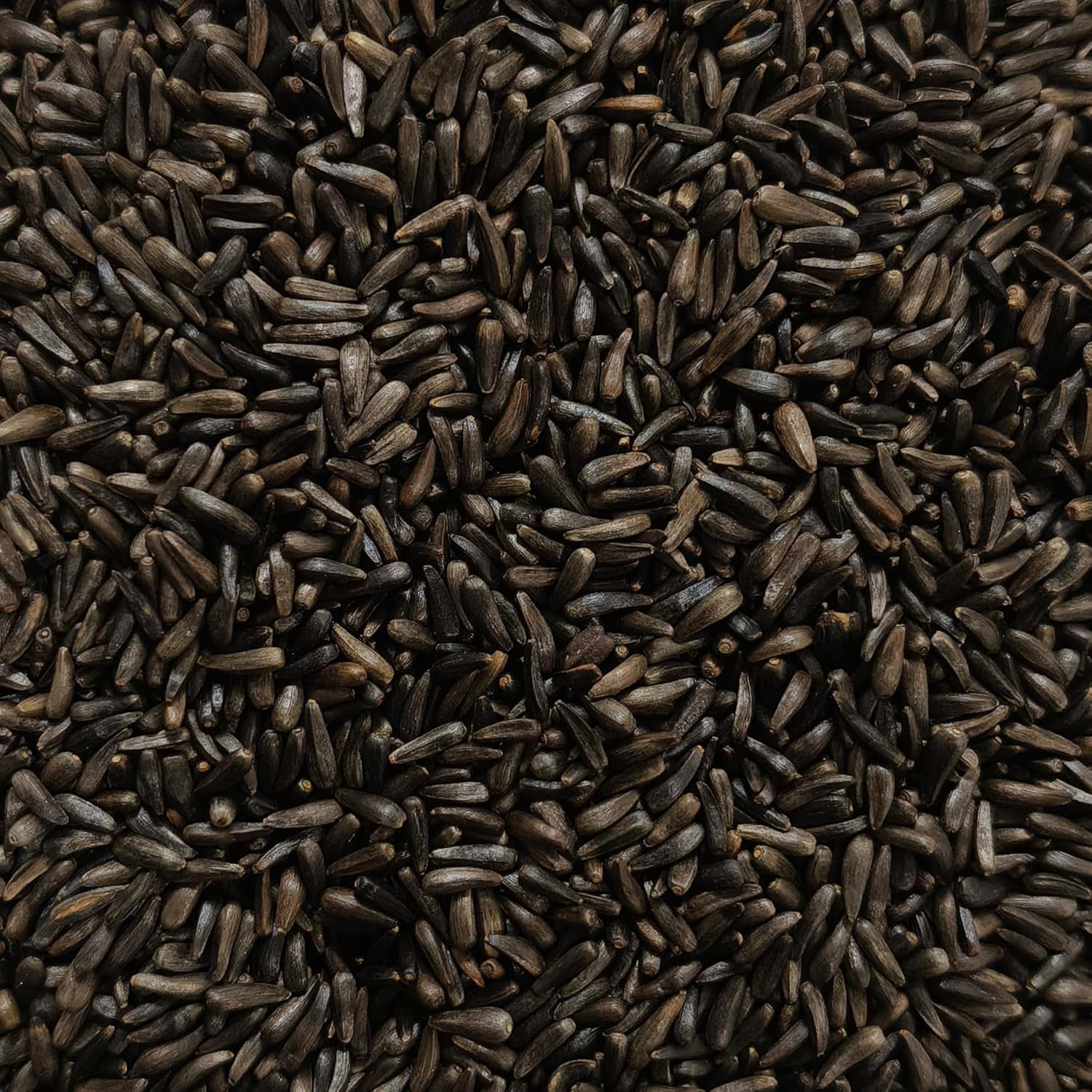 Happy Wings Nyjer/Thistle Seeds Wild Bird Food 14 Ounce (Pack of 3) | Prefilled Sock | No Grow Seed I Bird Seeds for Wild Birds