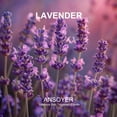 thumbnail image 3 of ANSOYER Massage Candle- 1.77OZ (Lavender), 3 of 6