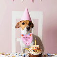 thumbnail image 4 of Bandana para perro de feliz cumpleaños con la cumpleañera, bandana para perro, bandana para perro de feliz cumpleaños, 4 of 5