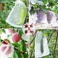 thumbnail image 2 of 5 bolsas de protección para frutas, bolsas de red para jardín con cordón, bolsas para árboles frutales, bolsas de barrera de red para protección-30*45cm, 2 of 5