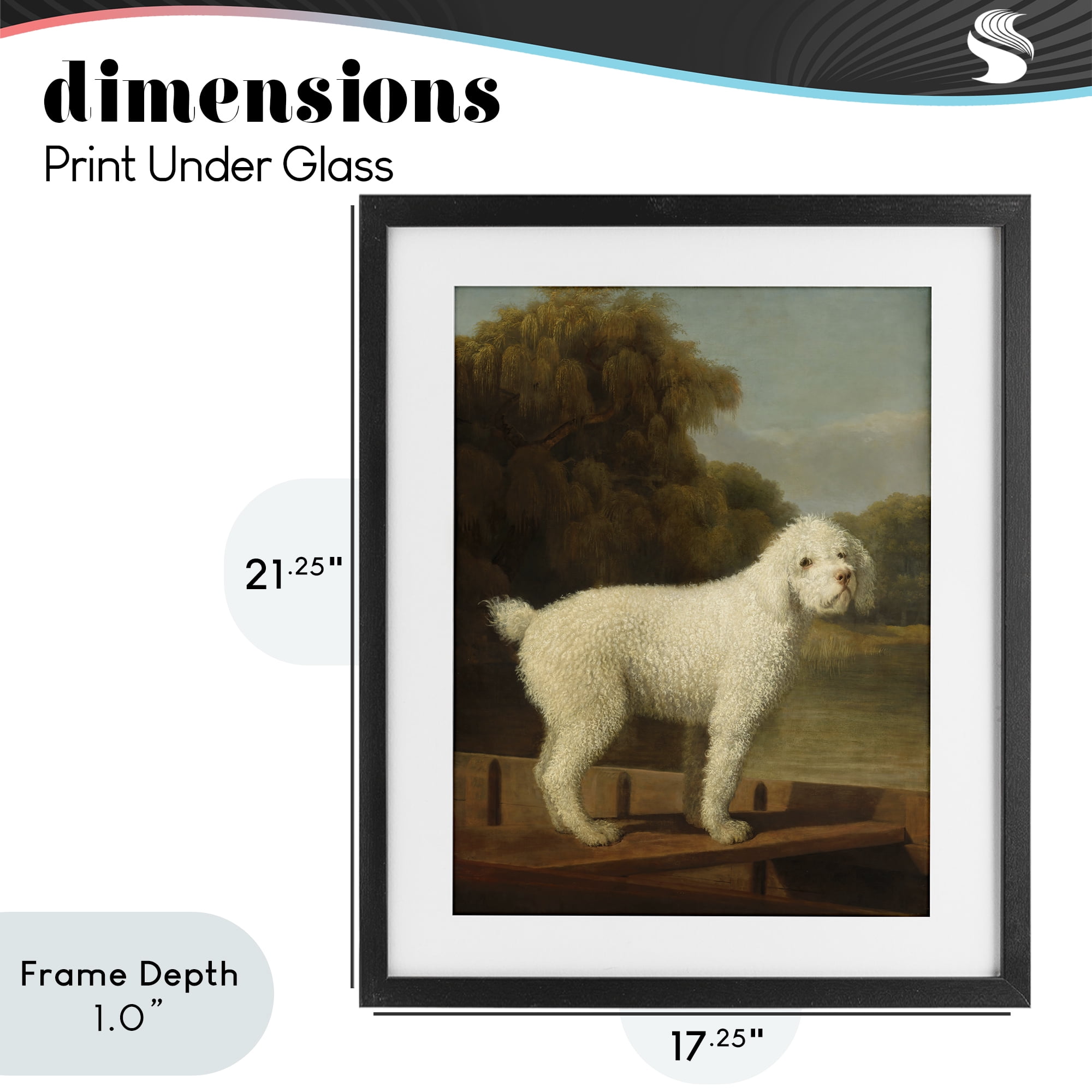 Stupell Industries White Poodle in a Punt Black Framed Print Under Glass, design by Tina LeCour
