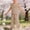 Khaki, variant on Amidoa Girls Summer 2 Piece Outfits Cute Cute Tank Top and Elastic Waist Pants Kids Clothing Set Brown Size 2T Brown Size 2T