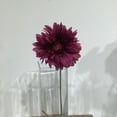 thumbnail image 2 of Aubergine Gerbera Daisy, 2 of 3