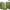 3 Piece Set-Green, variant on MIUSSE 5 Piece Luggage Set, Hardshell Lightweight Suitcase with TSA Lock Spinner Wheels, 100% PC Luggage Set 20in 24in 28in - White