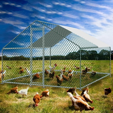 10'x10' Hen House Walk in Large Metal Chicken Coop Run for Backyard Poultry Rabbit Cage with Cover