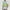 c02Blue, variant on USNSM High Visibility Safety Vests with 2 Hi Vis Reflective Strips for Men and Women Construction Vests for Traffic Work, Running and Security Guard Yellow Free Size