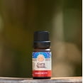 Guru Nanda's Immune Drops Immunity Blend 15 ml Supportive Essential