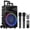 Black_A, variant on Seenda Karaoke Machine with 2 Wireless Microphones, Bluetooth Speaker, and Portable PA System – Includes FM Radio and 12" Woofer for Party