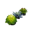Komodo Artificial Green and Blue Plastic Succulent Plants with Gravel ...