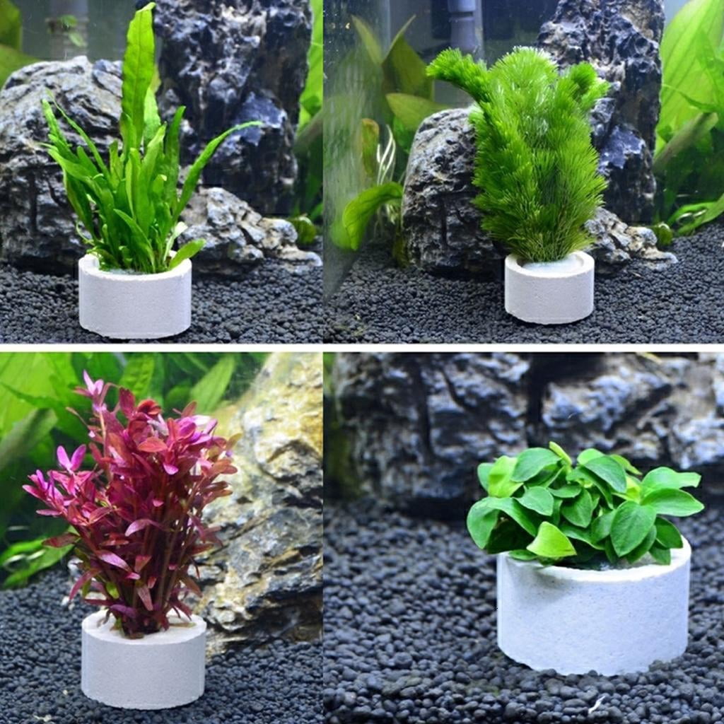 10Pcs Water Plant Weights Ceramic Aquarium Plant Fixed Rings Aquarium Decoration Accessories for Freshwater Saltwater