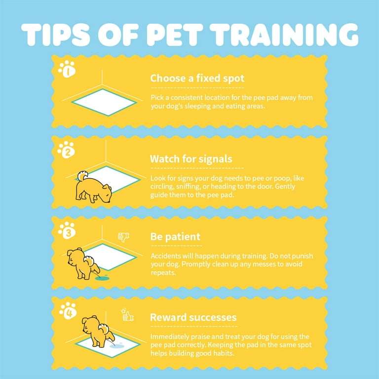 Puppy Pad Training Tips: Easy Steps for Quick Success