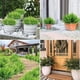 thumbnail image 2 of Inteprter Elegantes plantas de helecho artificiales grandes, fáciles de mantener y muy adecuadas para salas de estar. Decoración 38 hojas, 2 of 6