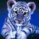 thumbnail image 5 of 3 Piezas 5D DIY Taladro Diamante Pintura Animal Kit Del Arte 30x40 Cm, 5 of 9