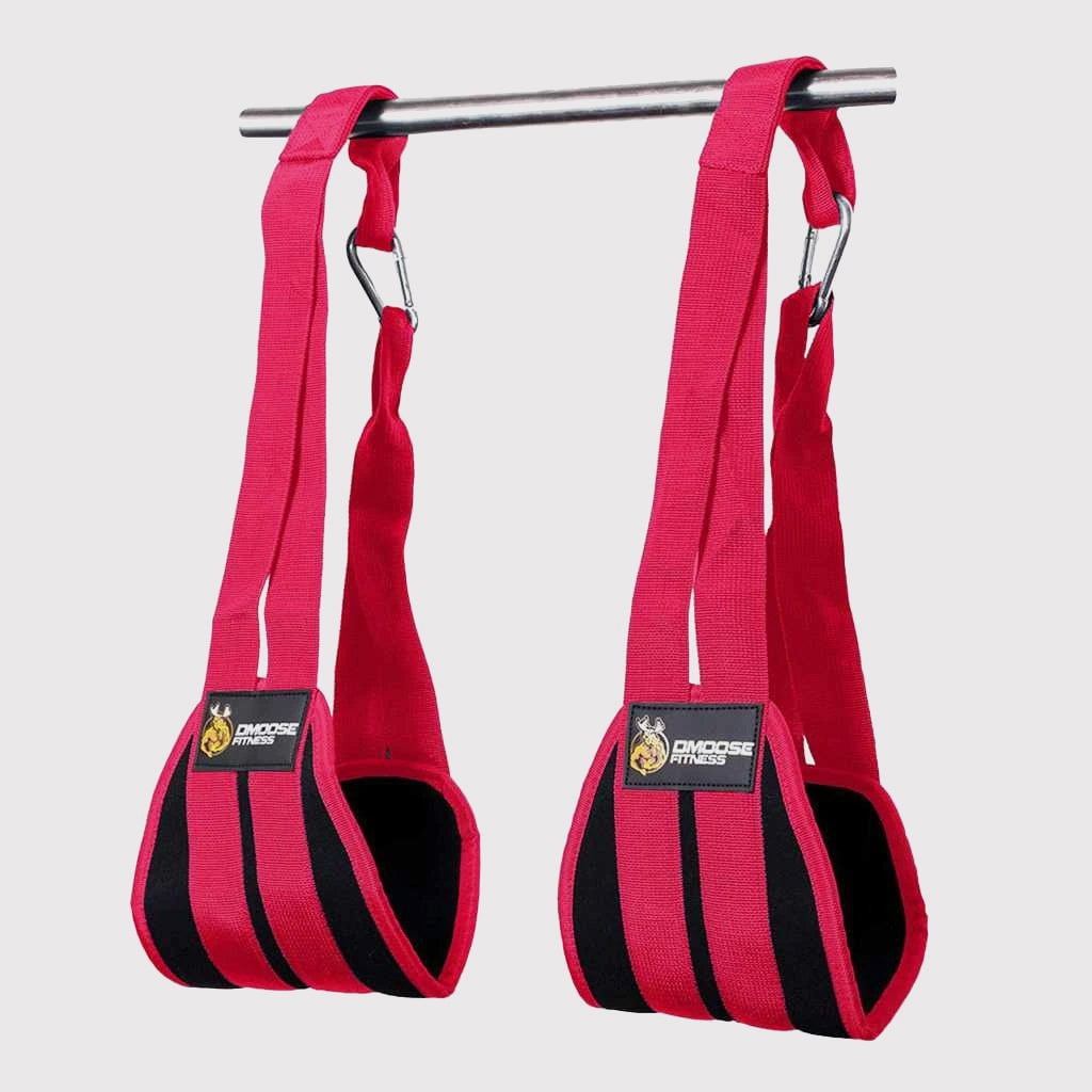 DMoose Fitness Hanging Ab Straps for Abdominal Muscle Building and Core