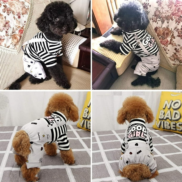 Kitten onesies cheap