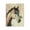 Rustic Farmhouse Horse Butterfly, variant on Stupell Industries Vivid Equine Portrait Canvas Wall Art, design by Svetlana Aleynikova