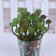 thumbnail image 2 of Billuyoard Simulación de flores artificiales, plantas de plástico falsas portátiles, centro de de boda, escritorio de recepción, decoración Decoración Mostrar como imagen Billuyoard JJ5154-00, 2 of 6