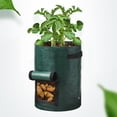 thumbnail image 5 of Potato Grow Bags, Ongmies Heavy Duty Pe Fabric Pots with Flap and Handles, Green Planter Bags for Potato Vegetables Outdoor Garden, 5 of 9