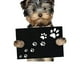thumbnail image 5 of Adorno Interior espejo retrovisor colgante para perro Mini juguetes para cachorros los mejores regalos, 5 of 6