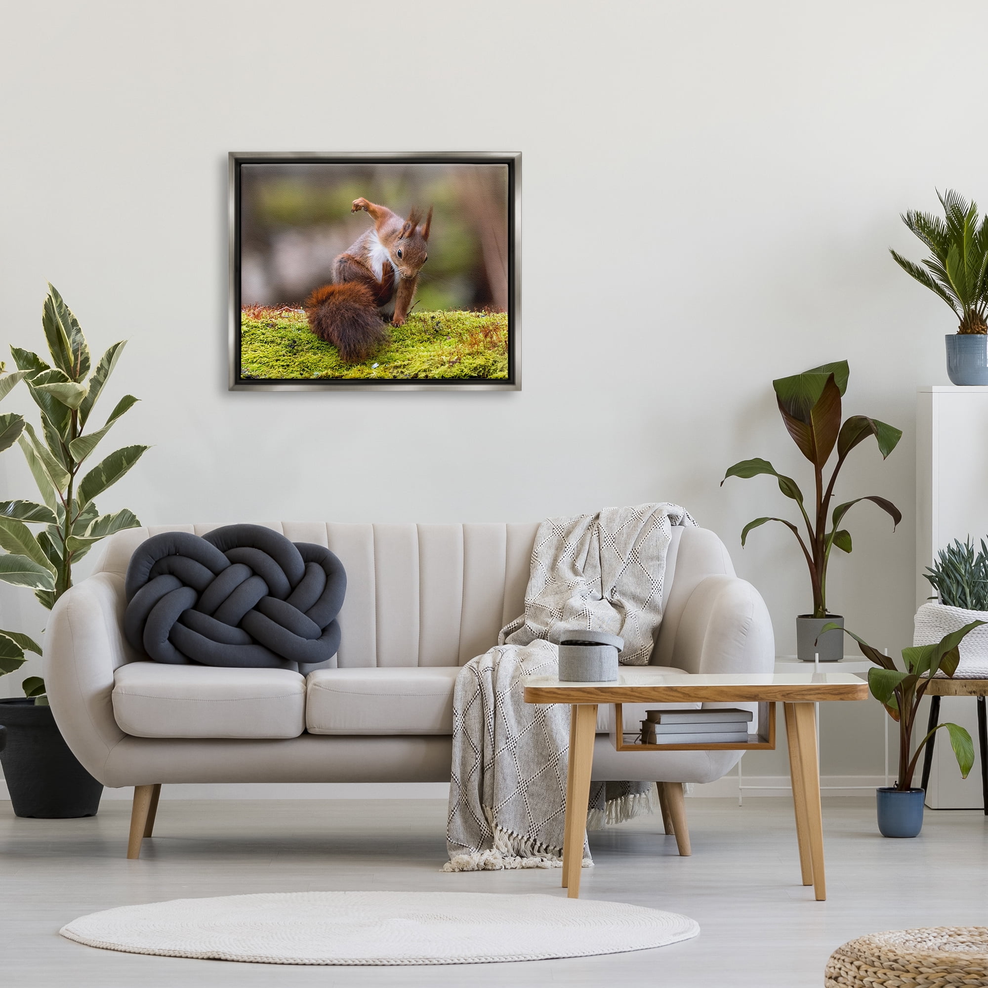 Stupell Industries Squirrel on Mossy Log Animals & Insects Photography Gray Floater Framed Canvas Art Print Wall Art, 31 x 25