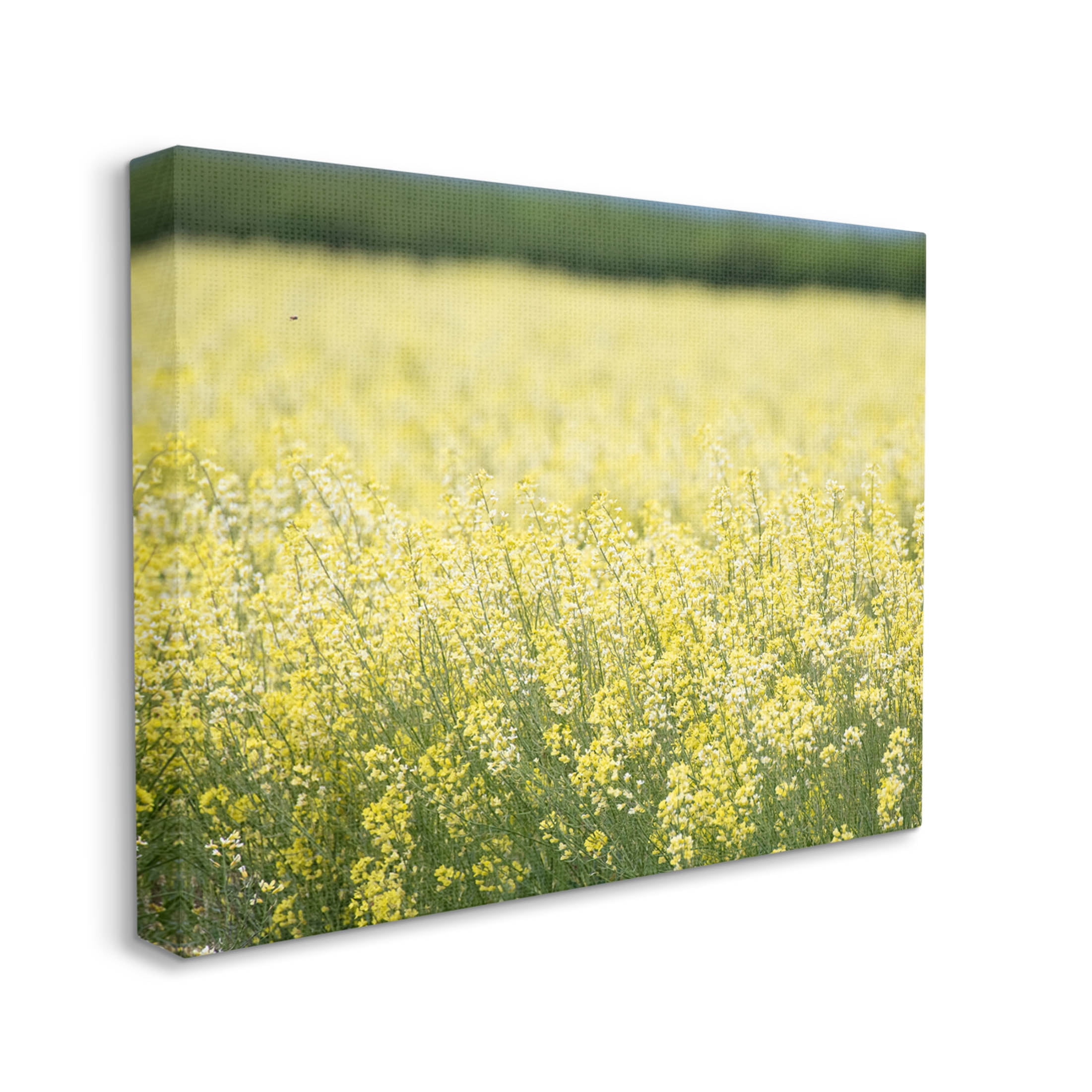 Stupell Industries Bright Country Meadow Wildflowers Photograph Gallery Wrapped Canvas Print Wall Art, Design by Nancy Crowell