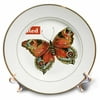 3dRose BUTTERFLY RED, VINTAGE BUTTERFLY, Porcelain Plate, 8-inch