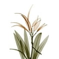 thumbnail image 2 of Koetsier, Albert 11x14 Gold Ornate Wood Framed with Double Matting Museum Art Print Titled - Urban Oleander Seed Pod, 2 of 4