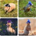 thumbnail image 7 of 6PCS Chicken Hats for Hens Chicken Helmet Mini Hat with Adjustable Elastic Chin Strap Chicken Hats for Hens Chicken Funny Costume Halloween Accessories Funny Small Hat Chicken Accessories, 7 of 7