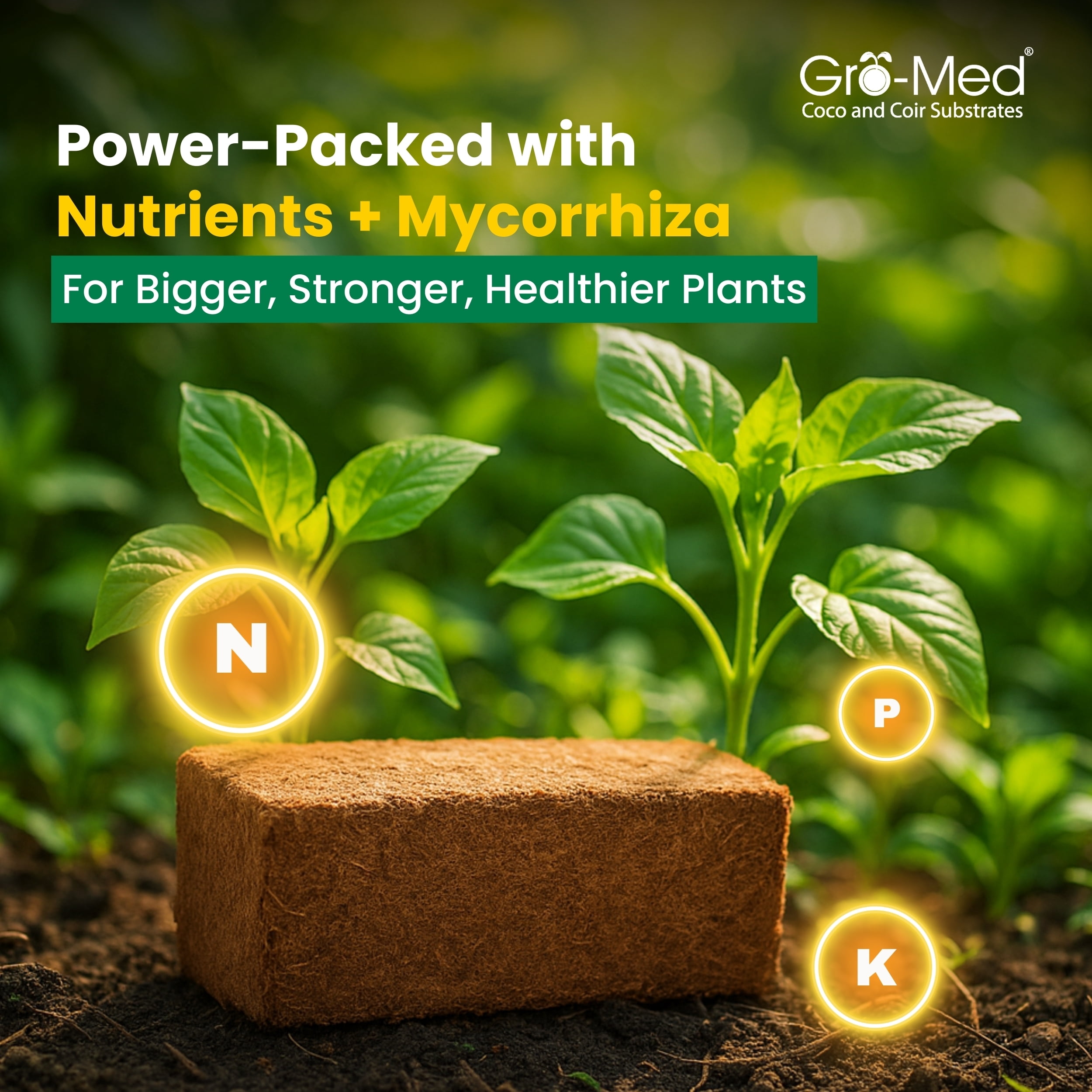 Gro-Med Organic Compressed Coconut Coco Coir Bricks For Plants With NPK Potting Soil, 6 Pcs 650g Ea