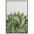 thumbnail image 3 of PixonSign Framed Canvas Print Wall Art Twisting Spiral Aloe Succulent Botanical Flower Photography Modern Art Contemporary Relax/Calm Green Cool for Living Room, Bedroom, Office - 24"x36" White, 3 of 5