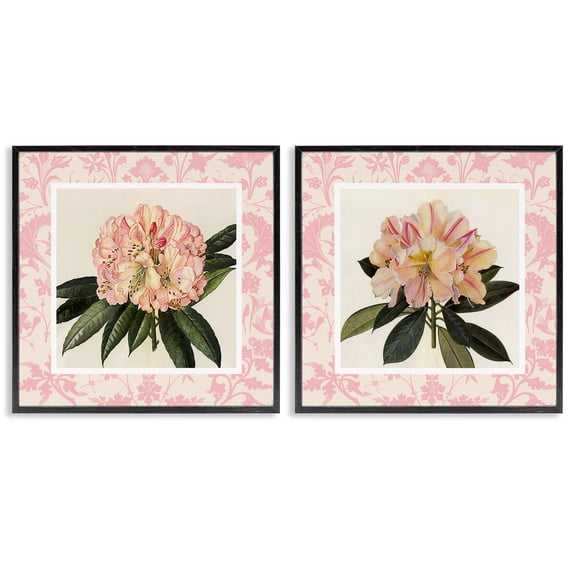 Stupell Industries Pink Vintage Pattern Botanicals 2 Piece Black Framed Giclee Art Set, design by Livi Finn