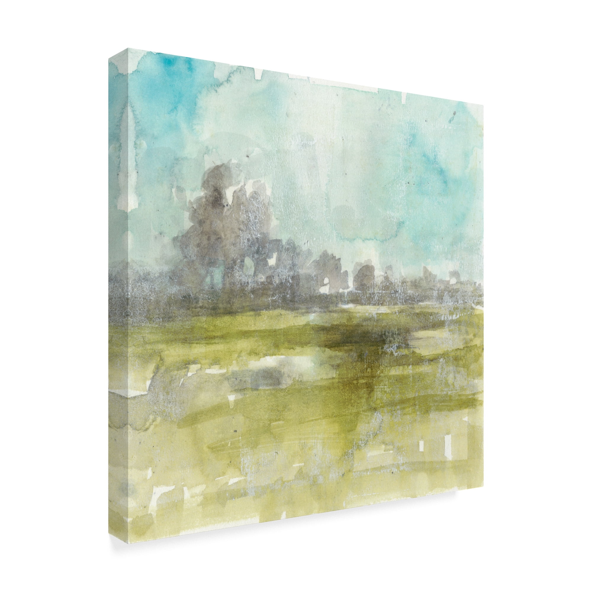Trademark Fine Art 'Pastel Haze I' Canvas Art by Jennifer Goldberger