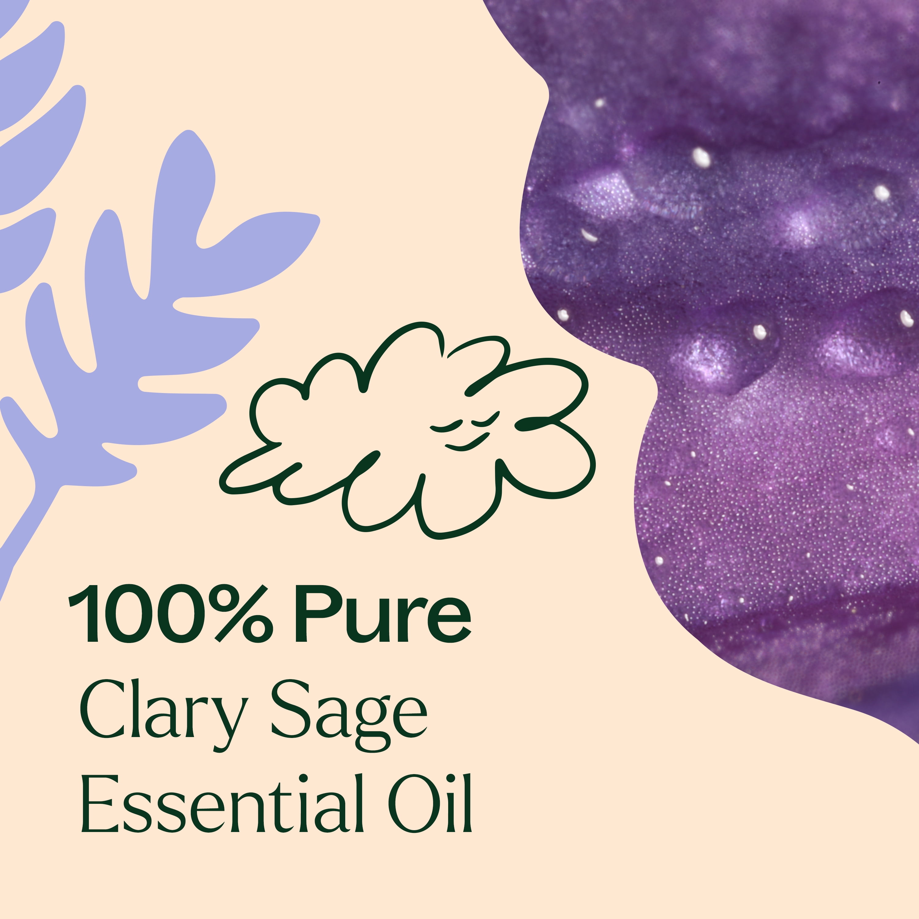 Plant Therapy Clary Sage Essential Oil 100% Pure, Undiluted, Natural Aromatherapy 10 mL (1/3 oz)