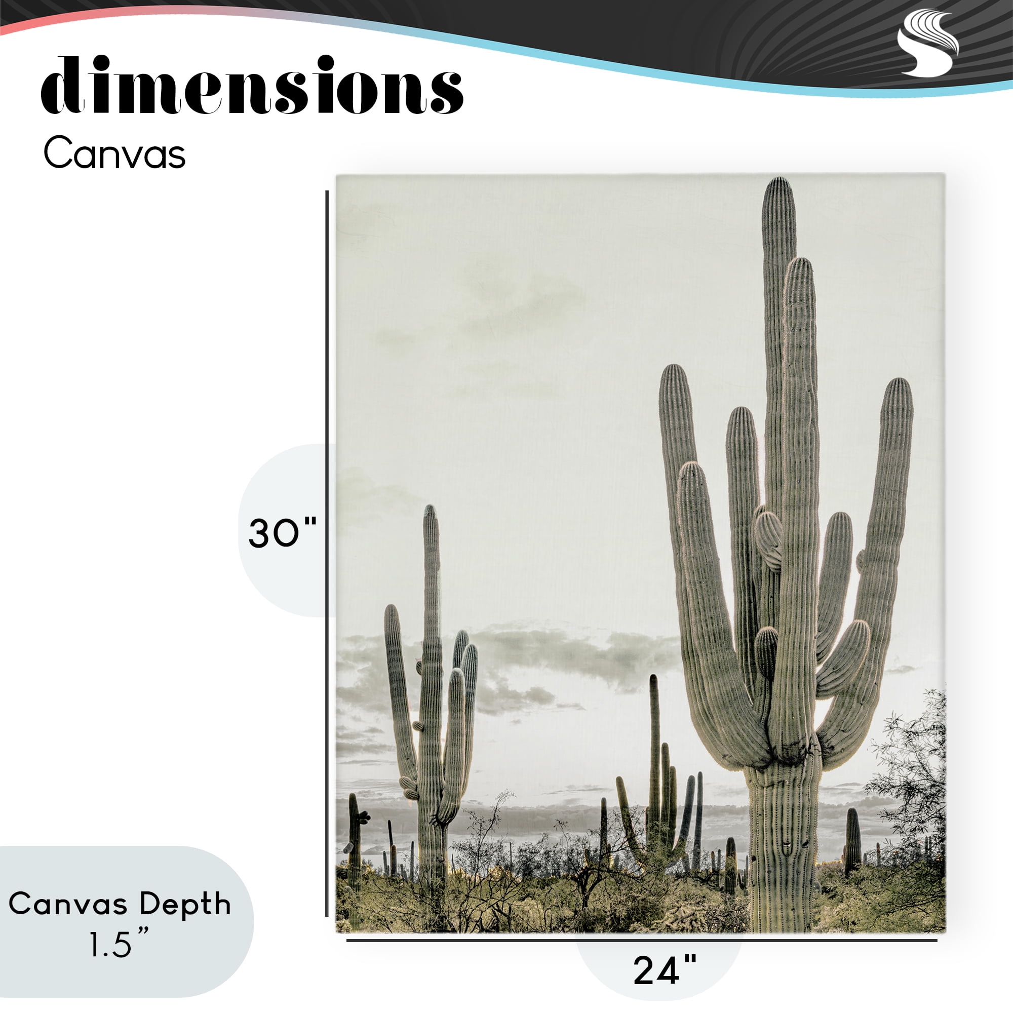 Stupell Industries Subdued Desert Cacti Canvas Wall Art, design by Kim Allen