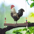 thumbnail image 3 of Macaw Swing Toy, With Hooks Non- Durable Cage Hanging Toy, Sanitary For Home, 3 of 8