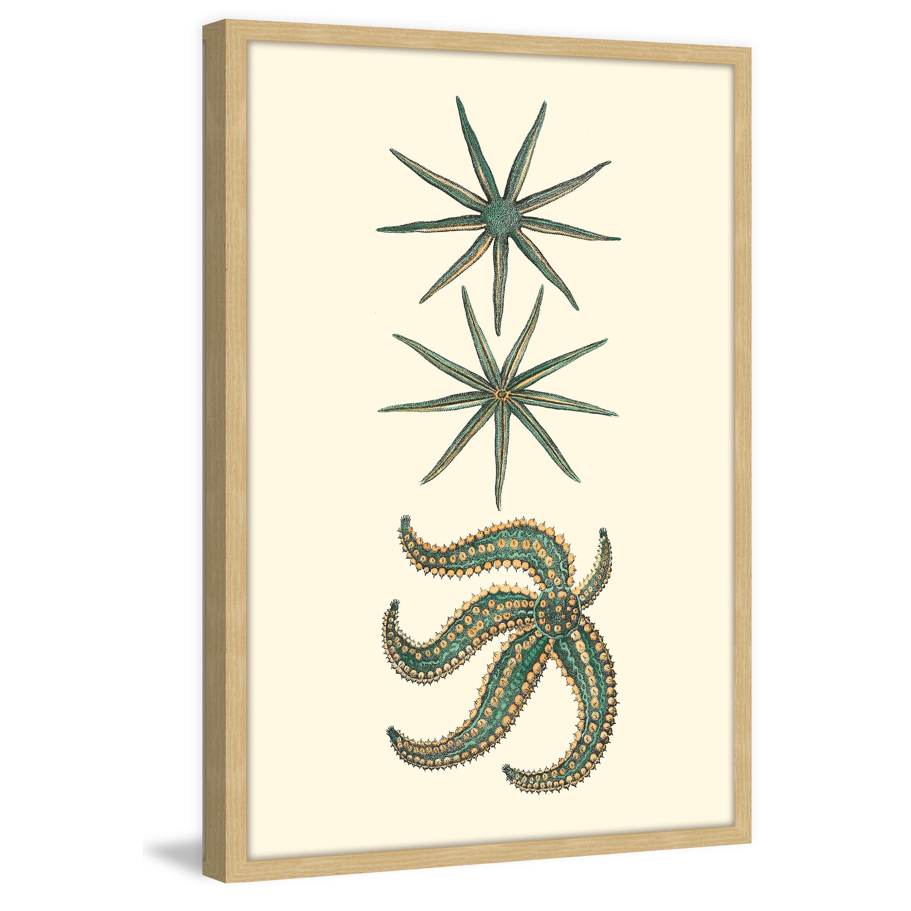 Marmont Hill "Green Starfish" Framed Painting Print