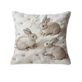 thumbnail image 1 of Cubiertas de Almohada de Tirado Al Aire Libre Conejos Bordados Suaves para Sofás Y Sillas Adecuados para la Decoración Del Sofá de Pascua Y el Dormitorio Cubiertas de Almohada de Tirado de Primavera, 1 of 6