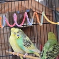 thumbnail image 4 of YSNOOWE 2Ud Percha Y De Cuerda Flexible Para Jaula De Loro Multicolor Con Giratorio, 4 of 8