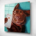 thumbnail image 2 of Epic Art 'Dog Selfie' by Lucia Heffernan, Acrylic Glass Wall Art, 12"x12", 2 of 8