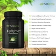 thumbnail image 4 of PuraDyme LiyfZyme Plant-Based Digestive Enzyme, Digestive Health Support (500 Ct), 4 of 11