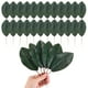 thumbnail image 1 of Paquete de 30 hojas artificiales, hoja verde falsa con tallos para bricolaje 6.3x19.5cm, 1 of 1