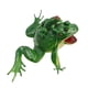 thumbnail image 1 of Mini Realistic Plastic Frog Baby Bath Toy, 1 of 4