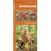 Pocket Naturalist Guides: Mushrooms: An Introduction to Familiar North American Species (Other)