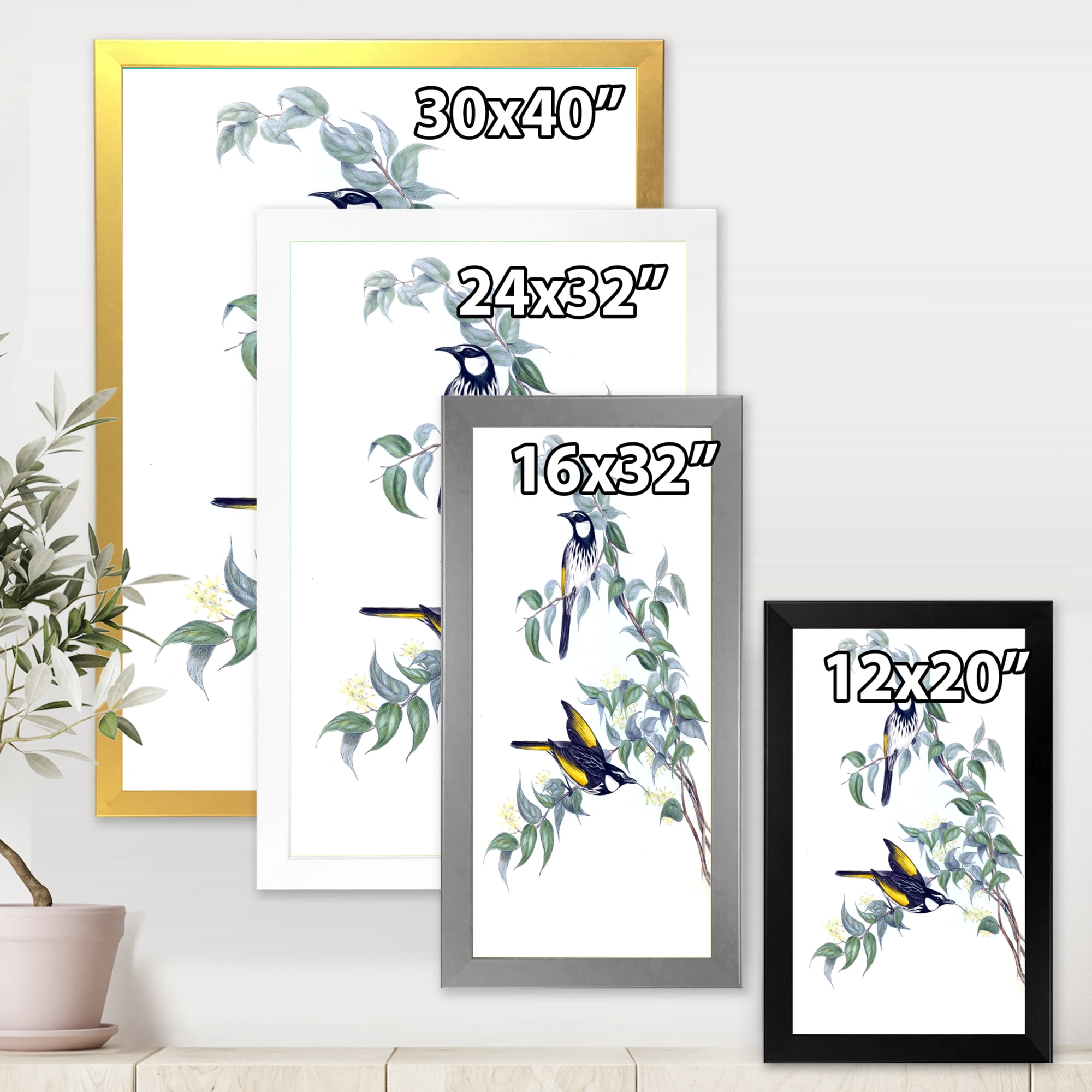 Designart 'Ancient Australian Birds On A Branch' Traditional Framed Art Print