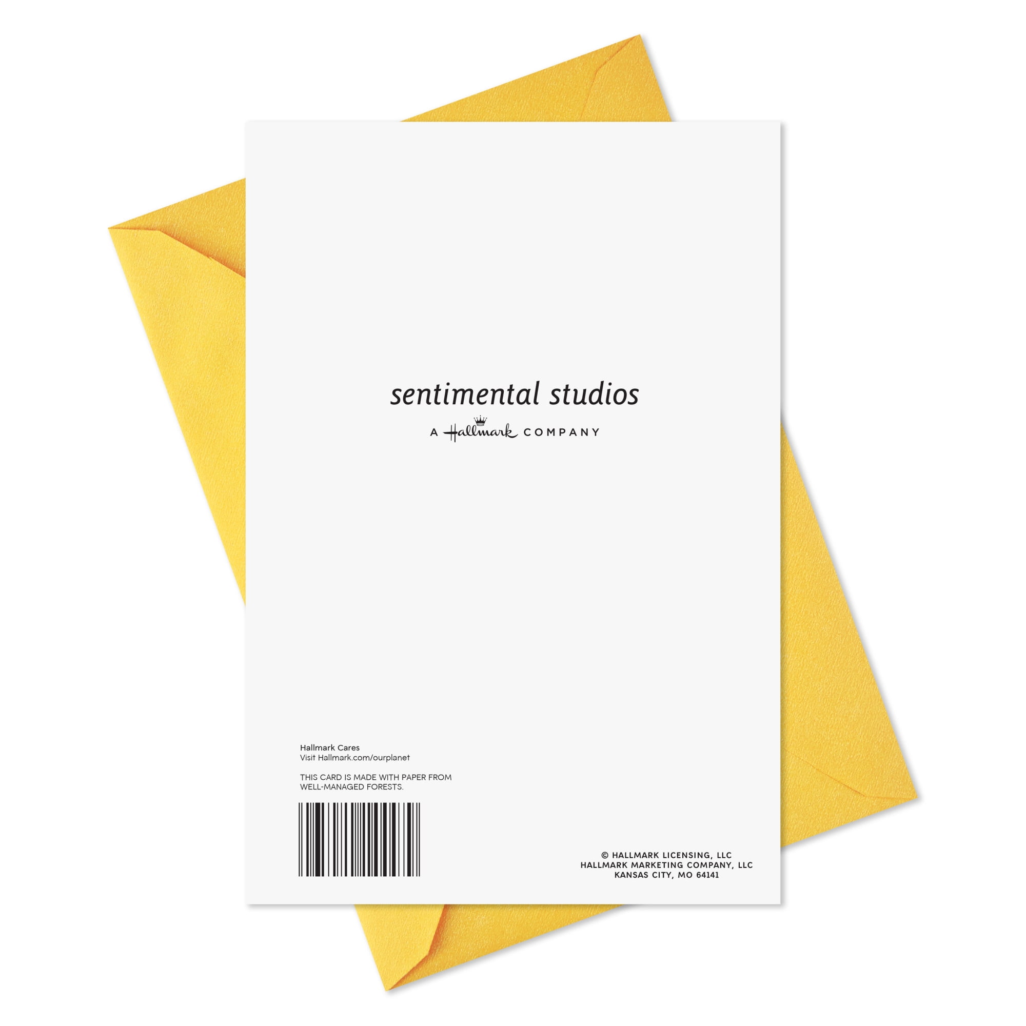 Hallmark Birthday Card (Wishes for All Good Things)