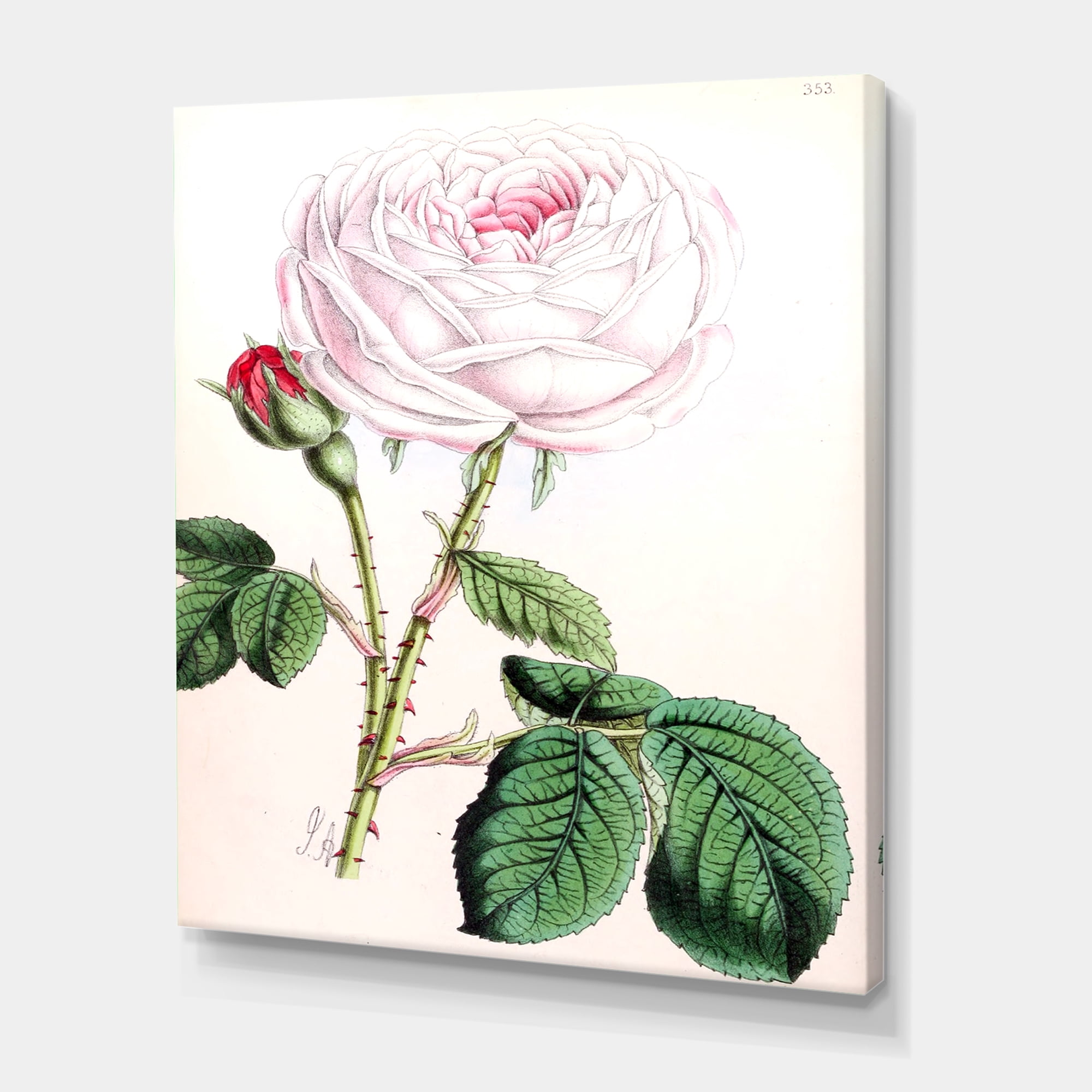 Designart ' Ancient Pink Flower ' Traditional Canvas Wall Art Print