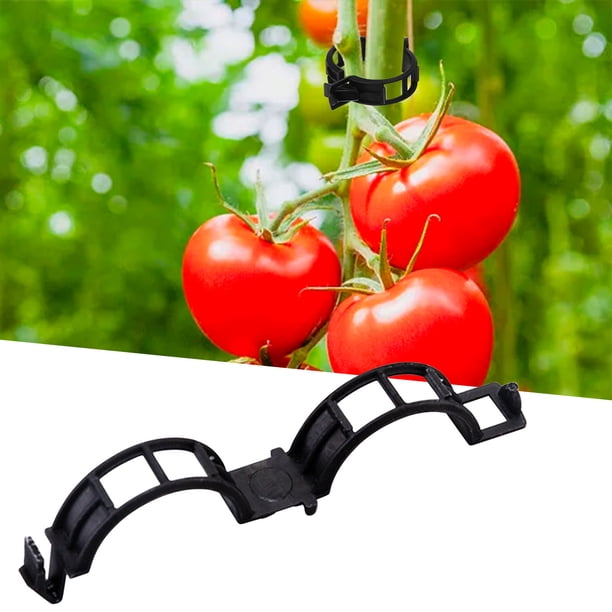 ¡Ahorra con Rebajas!, Clip fijo para colgar verduras, melones, frutas, tomates, plantas, clips de plástico para encuadernación, aros para tomates Akmoler