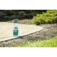 thumbnail image 3 of Roundup For Lawns 5 Concentrate Weed Killer for Southern Grass, 32 oz., 3 of 11